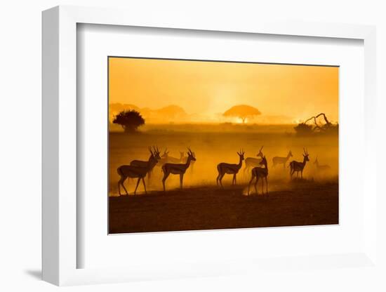 Be Careful-Mathilde Guillemot-Framed Photographic Print