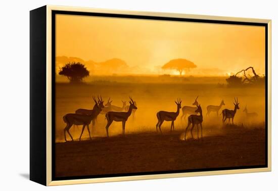 Be Careful-Mathilde Guillemot-Framed Premier Image Canvas