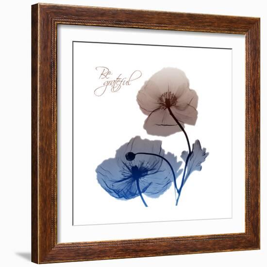 Be Grateful-Albert Koetsier-Framed Art Print