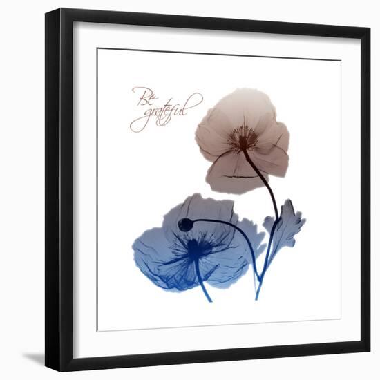 Be Grateful-Albert Koetsier-Framed Art Print