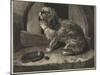 Be it Ever So Humble, There's No Place Like Home-Edwin Landseer-Mounted Giclee Print