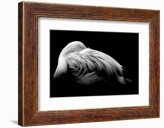 Be Me-Summer Ice-Framed Photographic Print