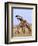 Be Mine-Art Wolfe-Framed Photographic Print