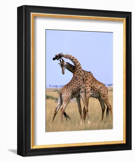 Be Mine-Art Wolfe-Framed Photographic Print