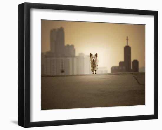 Be with You-Biduri Chang-Hwan Park-Framed Photographic Print