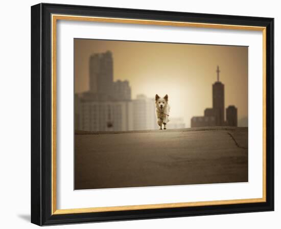 Be with You-Biduri Chang-Hwan Park-Framed Photographic Print