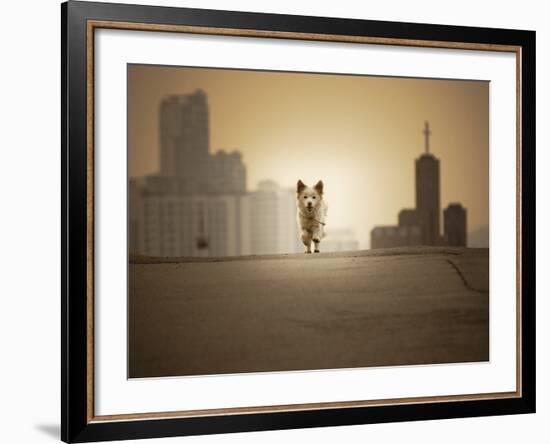 Be with You-Biduri Chang-Hwan Park-Framed Photographic Print