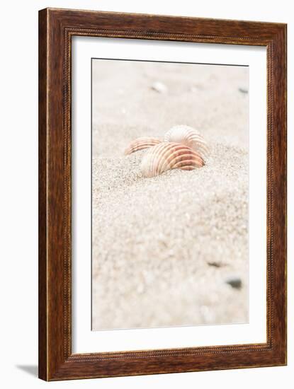 Beach_014-Pictufy Studio III-Framed Giclee Print
