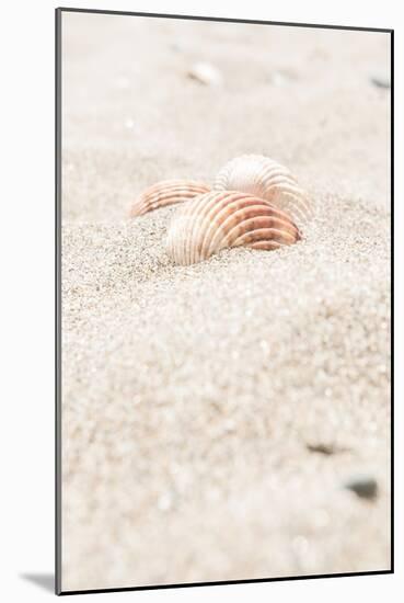 Beach_014-Pictufy Studio III-Mounted Giclee Print