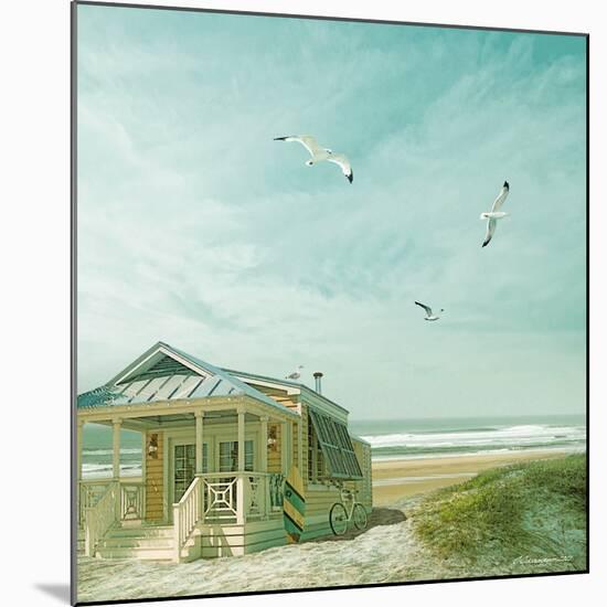 Beach 3-Carlos Casamayor-Mounted Art Print