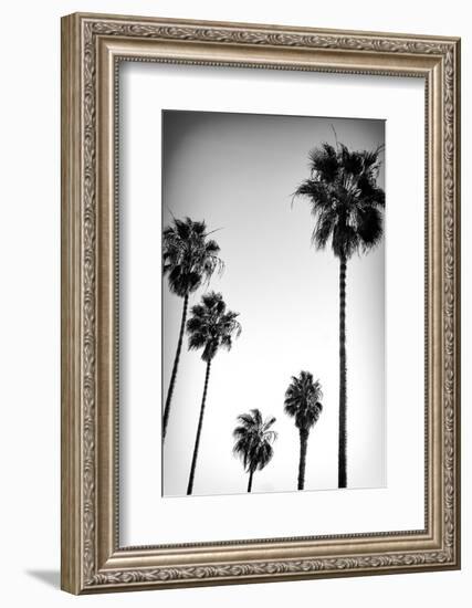 Beach Air II-Ryan Hartson-Weddle-Framed Photographic Print