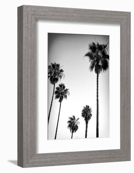 Beach Air II-Ryan Hartson-Weddle-Framed Photographic Print