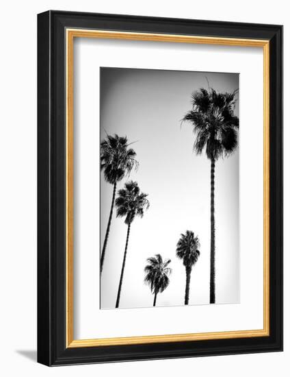 Beach Air II-Ryan Hartson-Weddle-Framed Photographic Print