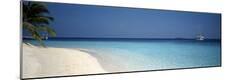 Premium Photographic Print