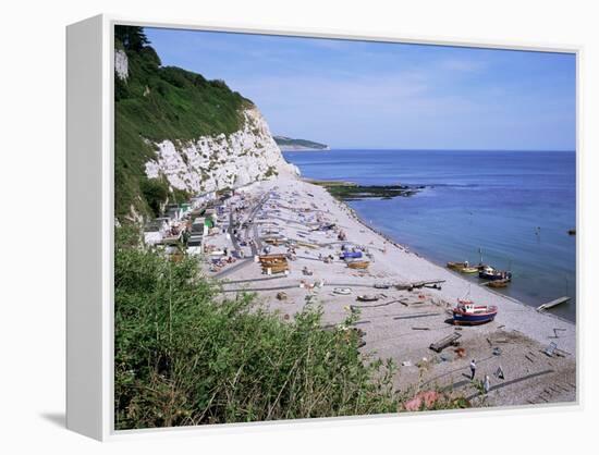 Beach and Cliffs, Beer, Devon, England, United Kingdom-Roy Rainford-Framed Premier Image Canvas