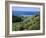 Beach and Coast, Tokomaru Bay, Gisborne, East Coast, North Island, New Zealand, Pacific-D H Webster-Framed Photographic Print