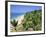 Beach and Coconut Palms, Kovalam Beach, Kerala State, India-Gavin Hellier-Framed Photographic Print