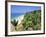 Beach and Coconut Palms, Kovalam Beach, Kerala State, India-Gavin Hellier-Framed Photographic Print