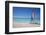 Beach and Hobie Cat-Frank Fell-Framed Photographic Print