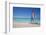 Beach and Hobie Cat-Frank Fell-Framed Photographic Print