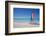 Beach and Hobie Cat-Frank Fell-Framed Photographic Print