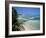 Beach and Jetty, Near Georgetown, Exuma, Bahamas, West Indies, Central America-Ethel Davies-Framed Photographic Print