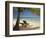 Beach and Lounger, Plantation Island Resort, Malolo Lailai Island, Mamanuca Islands, Fiji-David Wall-Framed Photographic Print