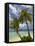 Beach and Palm Trees, Plantation Island Resort, Malolo Lailai Island, Mamanuca Islands, Fiji-David Wall-Framed Premier Image Canvas