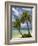 Beach and Palm Trees, Plantation Island Resort, Malolo Lailai Island, Mamanuca Islands, Fiji-David Wall-Framed Photographic Print