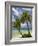 Beach and Palm Trees, Plantation Island Resort, Malolo Lailai Island, Mamanuca Islands, Fiji-David Wall-Framed Photographic Print