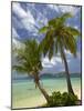 Beach and Palm Trees, Plantation Island Resort, Malolo Lailai Island, Mamanuca Islands, Fiji-David Wall-Mounted Photographic Print