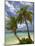 Beach and Palm Trees, Plantation Island Resort, Malolo Lailai Island, Mamanuca Islands, Fiji-David Wall-Mounted Photographic Print