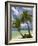 Beach and Palm Trees, Plantation Island Resort, Malolo Lailai Island, Mamanuca Islands, Fiji-David Wall-Framed Photographic Print