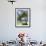 Beach and Palm Trees, Plantation Island Resort, Malolo Lailai Island, Mamanuca Islands, Fiji-David Wall-Framed Photographic Print displayed on a wall