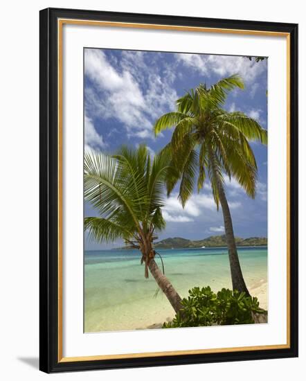 Beach and Palm Trees, Plantation Island Resort, Malolo Lailai Island, Mamanuca Islands, Fiji-David Wall-Framed Photographic Print