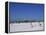 Beach and Pier, Clearwater Beach, Florida, United States of America, North America-Fraser Hall-Framed Premier Image Canvas