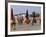 Beach and Rolled up Umbrellas, Deauville, Basse Normandie (Normandy), France-Guy Thouvenin-Framed Photographic Print