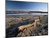 Beach and Sea at Dusk, Alnmouth, Northumberland, England, United Kingdom-Lee Frost-Mounted Photographic Print