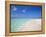 Beach and Sea, Maldives, Indian Ocean, Asia-Sakis Papadopoulos-Framed Premier Image Canvas