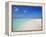 Beach and Sea, Maldives, Indian Ocean, Asia-Sakis Papadopoulos-Framed Premier Image Canvas