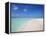 Beach and Sea, Maldives, Indian Ocean, Asia-Sakis Papadopoulos-Framed Premier Image Canvas