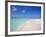 Beach and Sea, Maldives, Indian Ocean, Asia-Sakis Papadopoulos-Framed Photographic Print