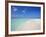 Beach and Sea, Maldives, Indian Ocean, Asia-Sakis Papadopoulos-Framed Photographic Print