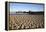 Beach and Stearns Wharf-Stuart-Framed Premier Image Canvas