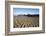 Beach and Stearns Wharf-Stuart-Framed Photographic Print