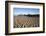 Beach and Stearns Wharf-Stuart-Framed Photographic Print