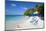 Beach and Sunshades, Long Bay, Antigua, Leeward Islands, West Indies, Caribbean, Central America-Frank Fell-Mounted Photographic Print