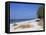 Beach, Anna Maria Island, Gulf Coast, Florida, United States of America, North America-Fraser Hall-Framed Premier Image Canvas