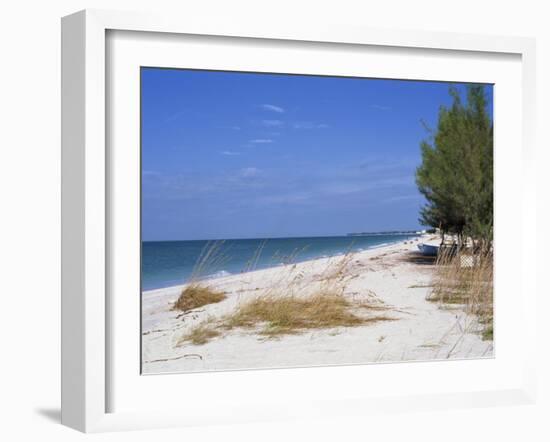 Beach, Anna Maria Island, Gulf Coast, Florida, United States of America, North America-Fraser Hall-Framed Photographic Print