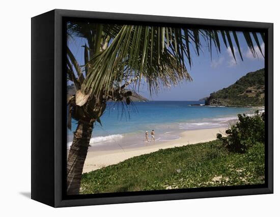 Beach at Anse Des Flamands, St. Barts (St. Barthelemy), West Indies, Caribbean, Central America-Ken Gillham-Framed Premier Image Canvas